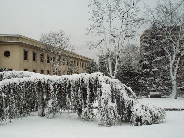 neige16.jpg