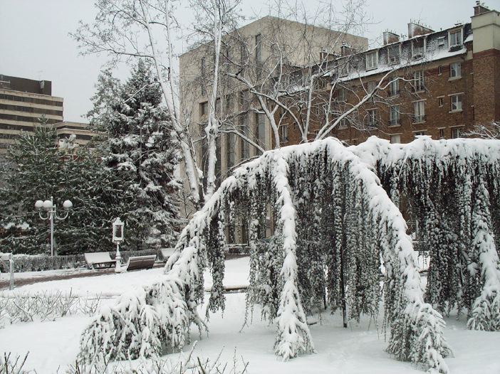 neige18.jpg
