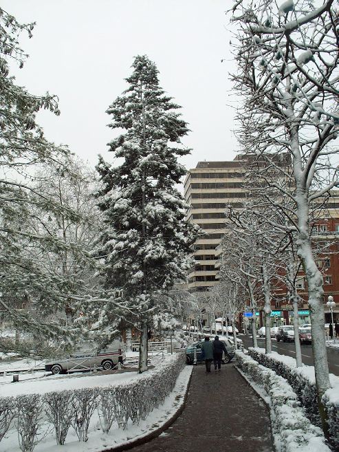 neige20.jpg