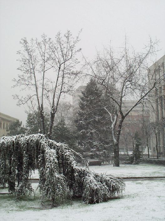 neige31.jpg