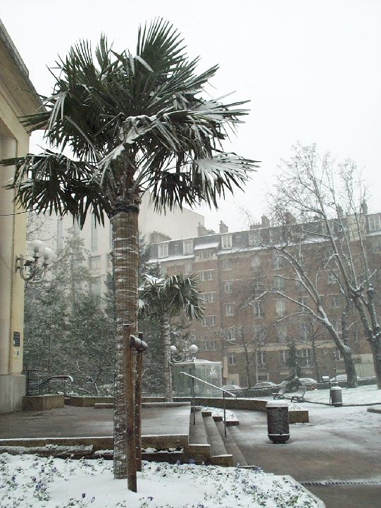 neige33.jpg