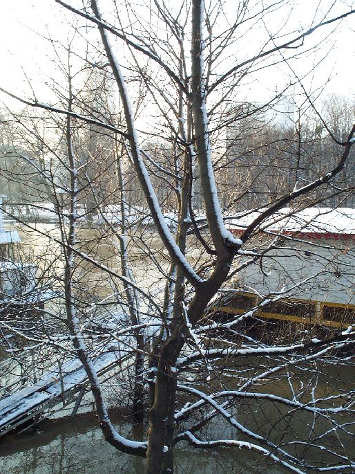 neige42.jpg