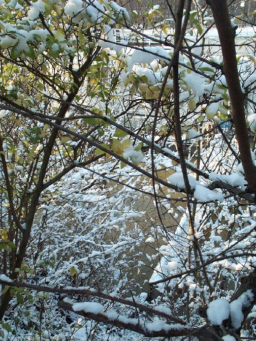 neige44.jpg