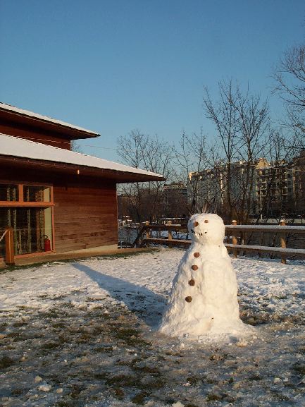 neige47.jpg