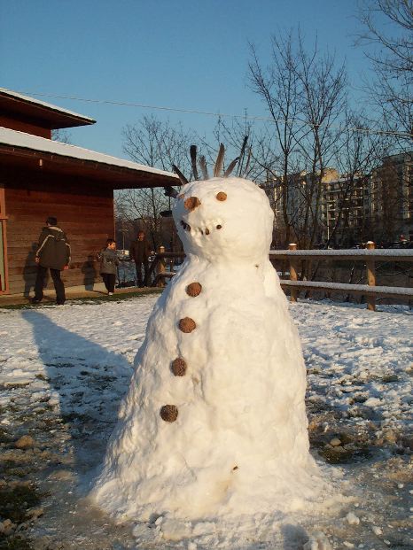 neige48.jpg