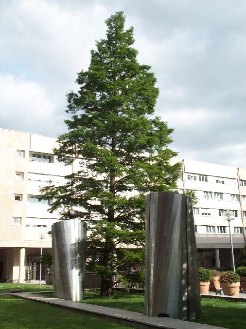 parvis2.jpg