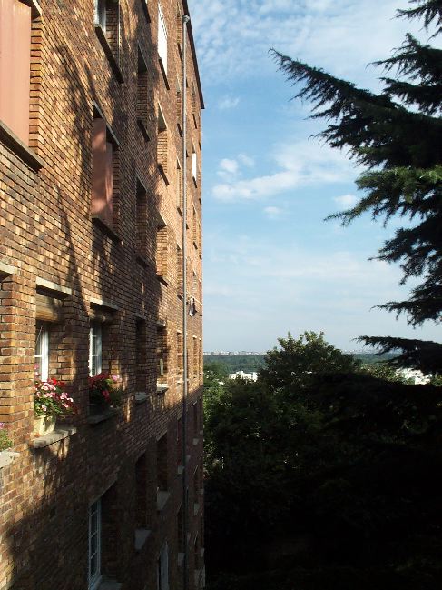 05.jpg
