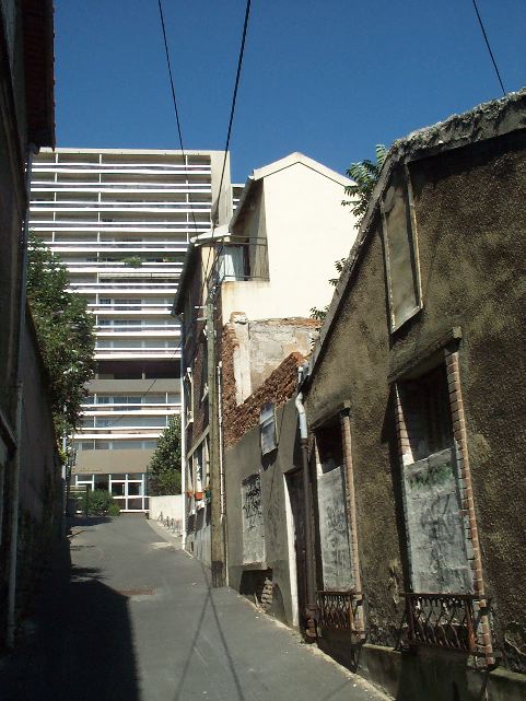 hanet2.jpg