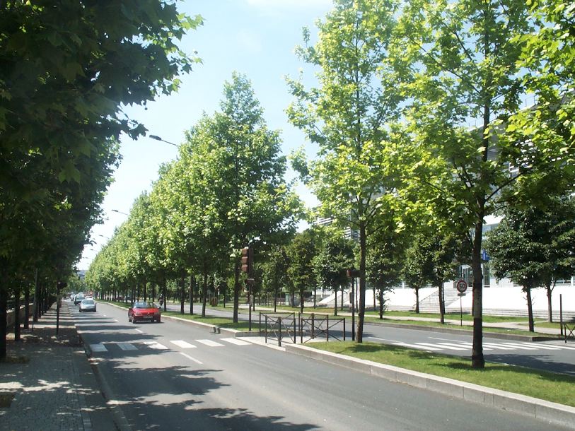 100-4203.jpg