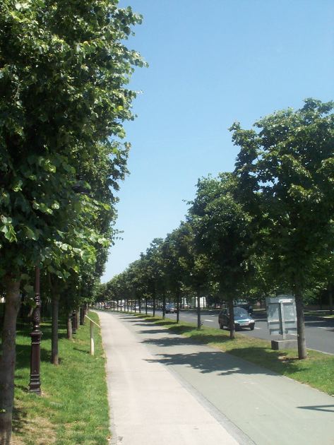 100-4207.jpg