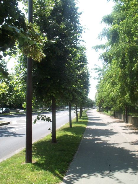 100-4209.jpg