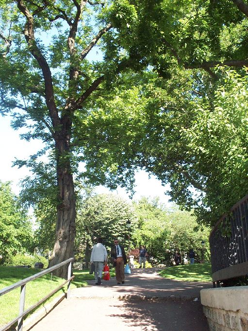 parc8.jpg