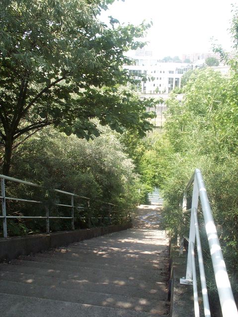 100-4224.jpg