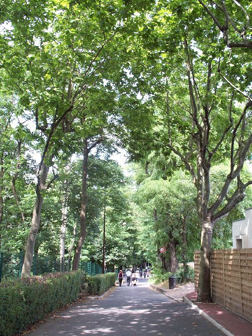 parcile01.jpg