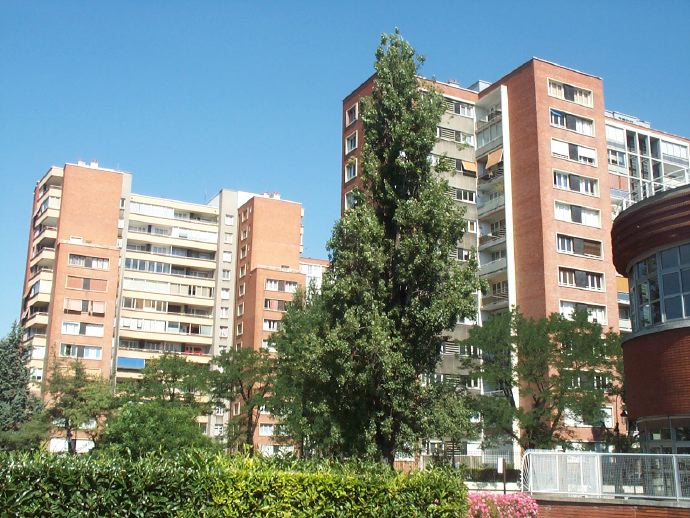 lorilleux1.jpg
