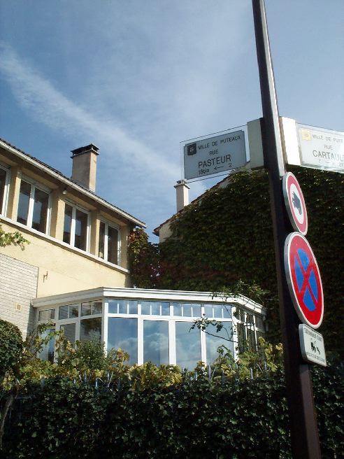 pasteur01.jpg